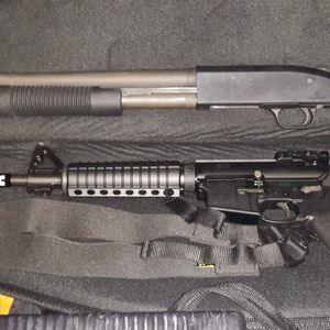 Meet your Posher, Lynn